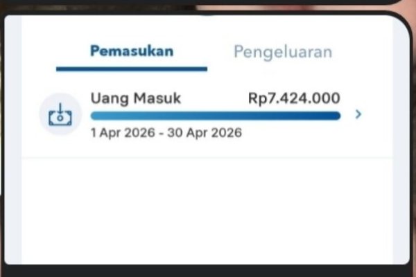 Dokumentasi pemasukan bulanan dengan data pribadi yang telah disamarkan