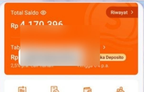 Dokumentasi saldo usaha dengan identitas yang telah disamarkan